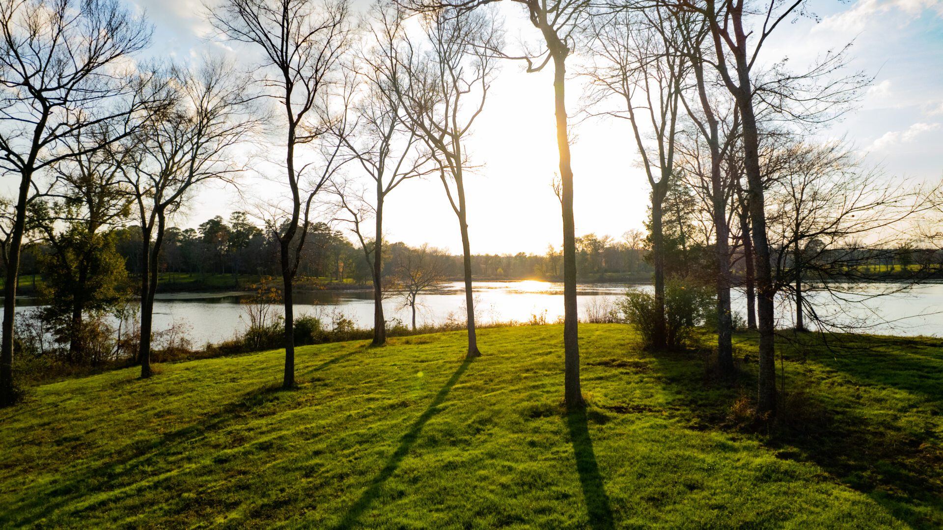 a grass field with trees and a body of water